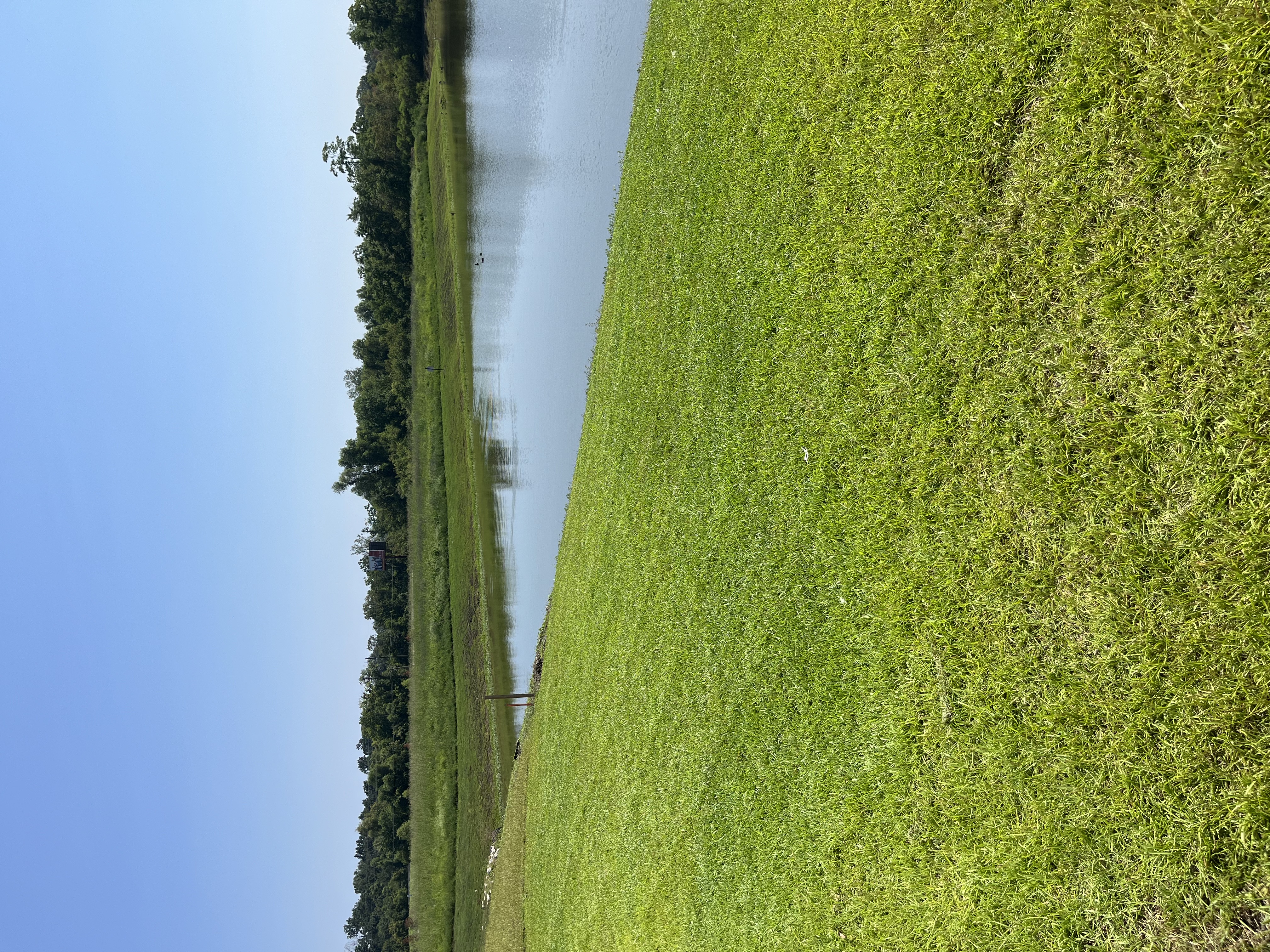 Lawn 3