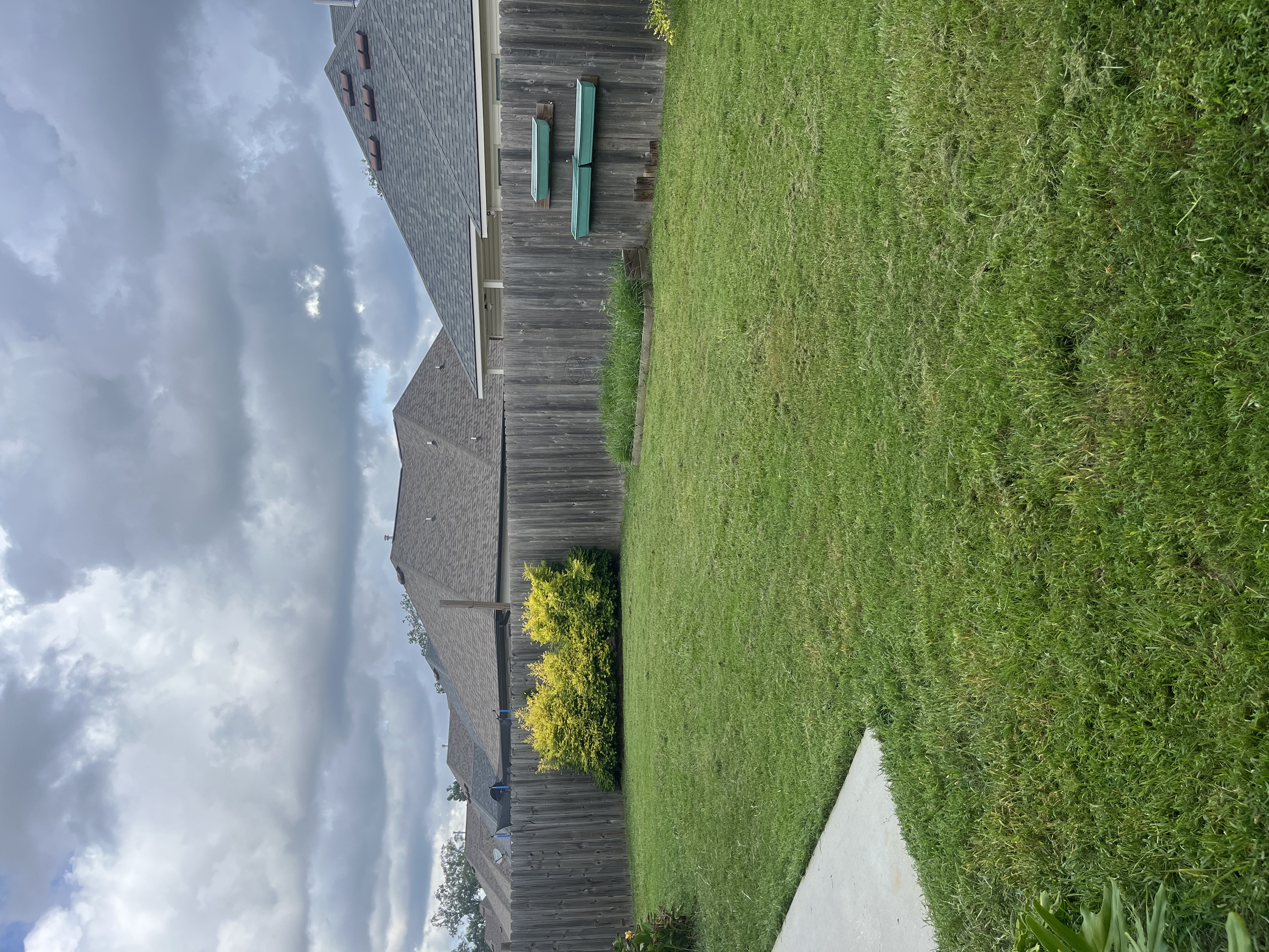 Lawn 4