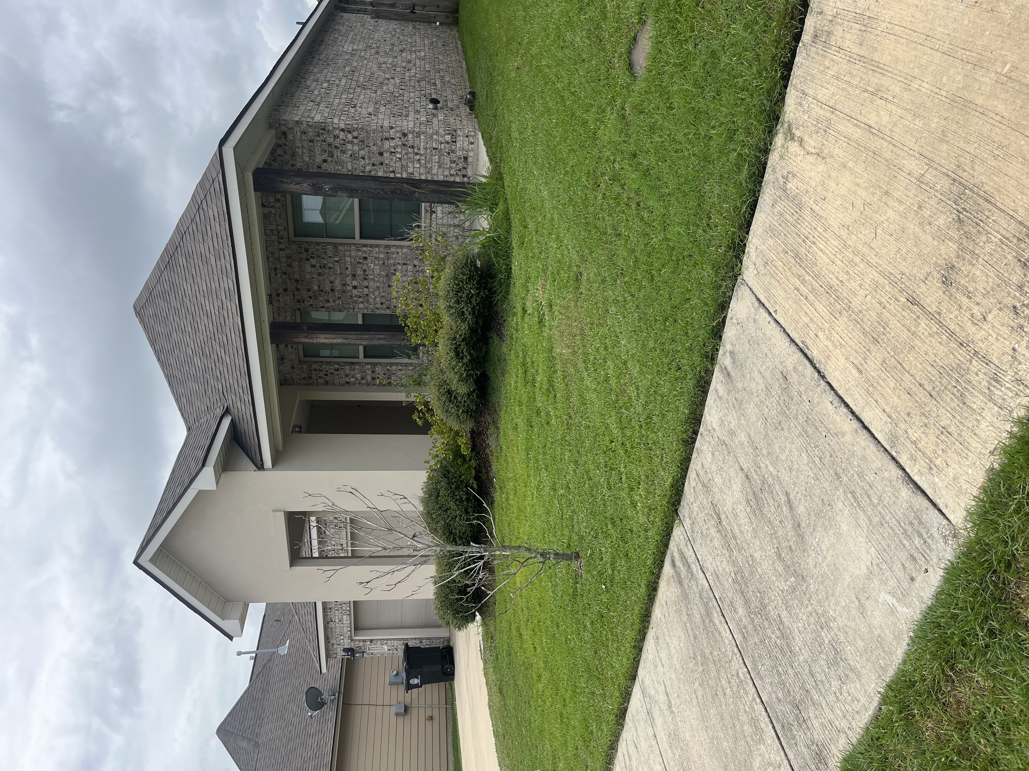 Lawn 5