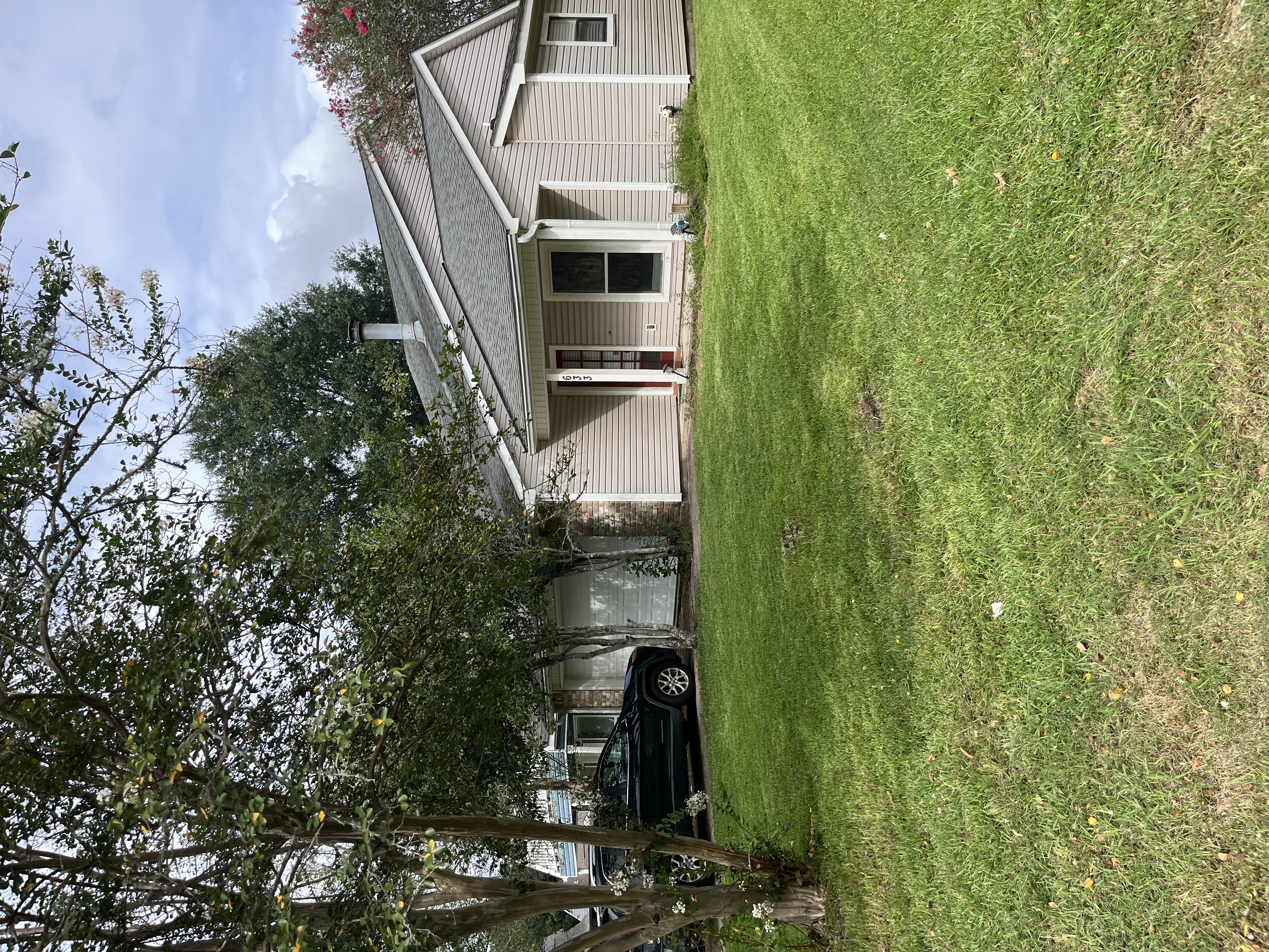 Lawn 6
