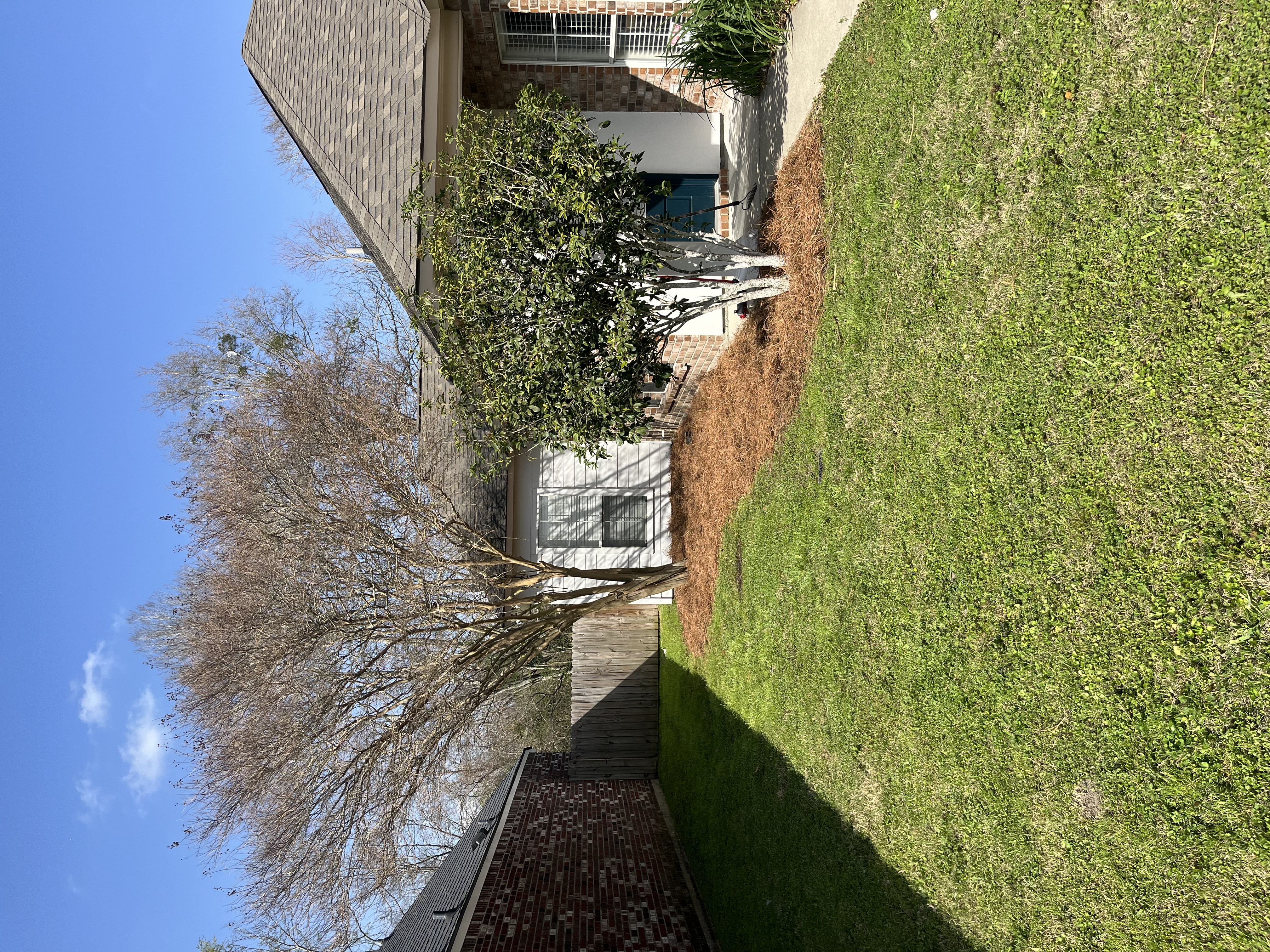 Lawn 7